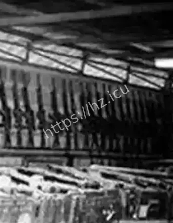 一夜之间300多支枪