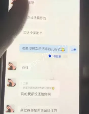 爆火全网