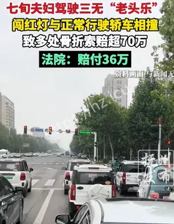 老头乐闯红灯