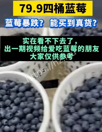 蓝莓开始论桶卖了