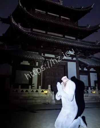 断头白影