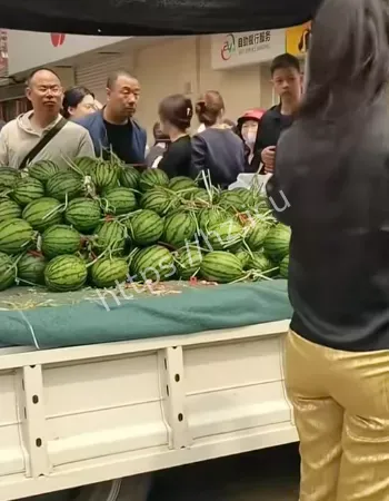 女子疑因离婚恩怨