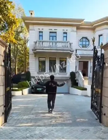 查处网红偷税案