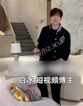 白冰虚假申报偷税