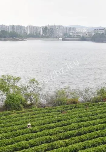 中新网 普洱4月28后续