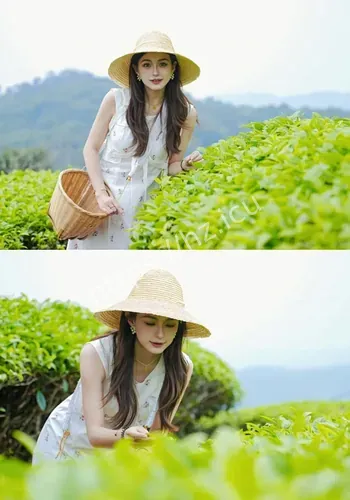 云南普洱邀游客旅居感公开