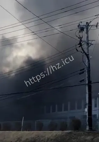 日本一制药厂发生“储网友