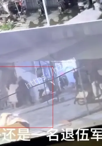 半夜狂砍邻居狗