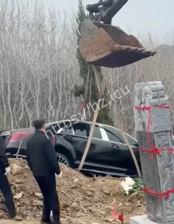 辽宁奔驰陪葬事件