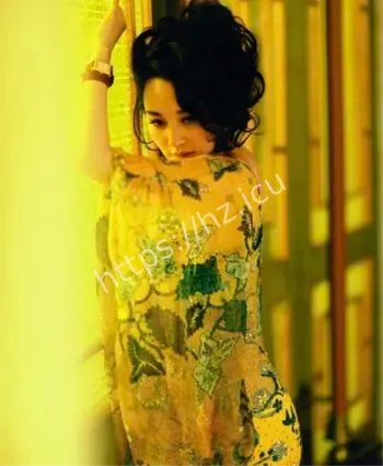 许晴气质顶级导演最爱