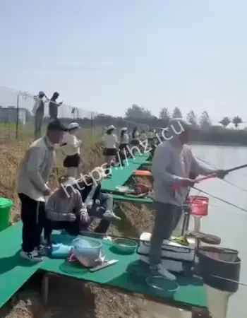 钓鱼圈也开始拼流量