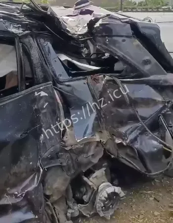 冲下高架撞死两大学生