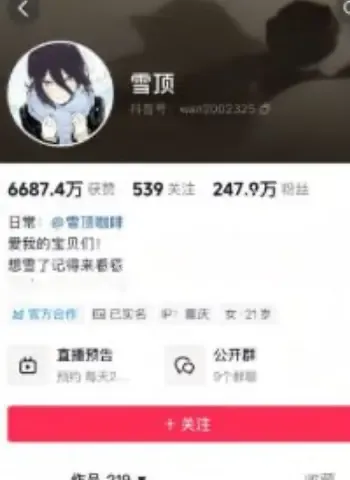 抖音百万粉网红