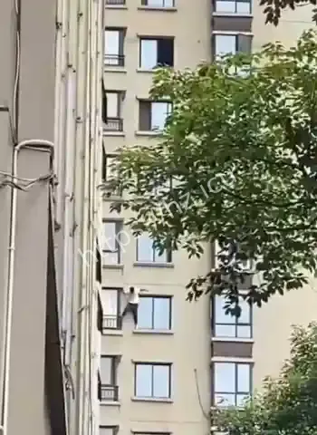 小三骗光家产翻脸不认人