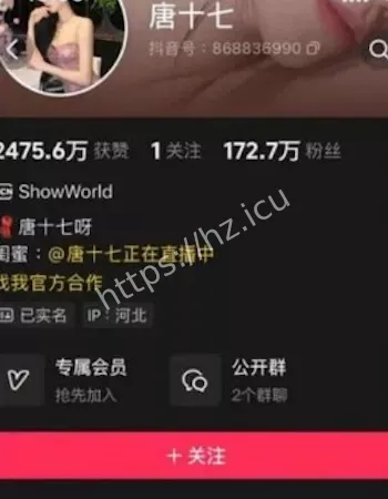 顶级网红美女