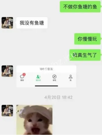 网红清高人设崩塌