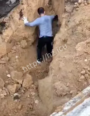 大哥蛇窝徒手抓蛇