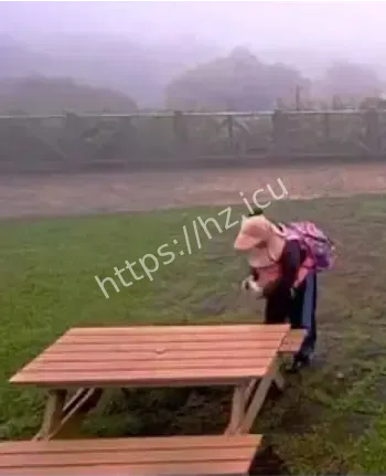 网红打卡圣地
