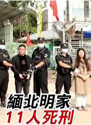 缅北四姐妹