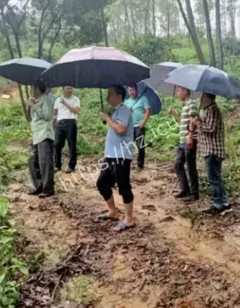 同时发病