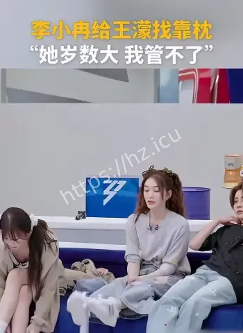 李小冉