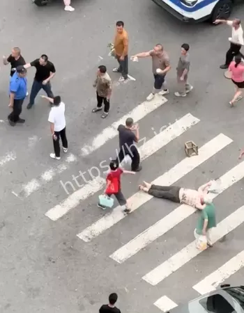 路人上前理论后遭抱摔