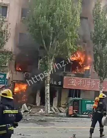 把路过的公交车崩的稀碎