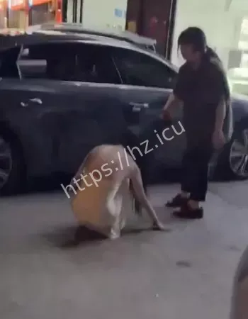 现场视频流出