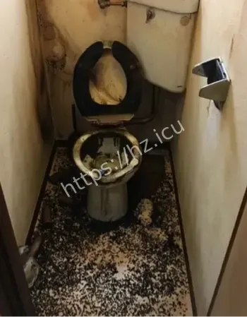 日本自杀预防白皮书