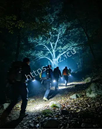 深山玄幻自然未解奇闻