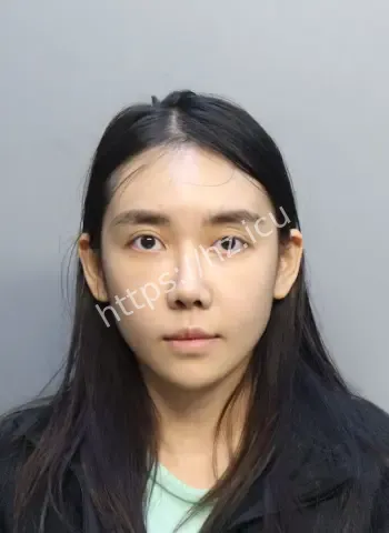 陈楚婷留学被抓