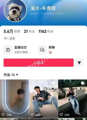 知名电视剧导演